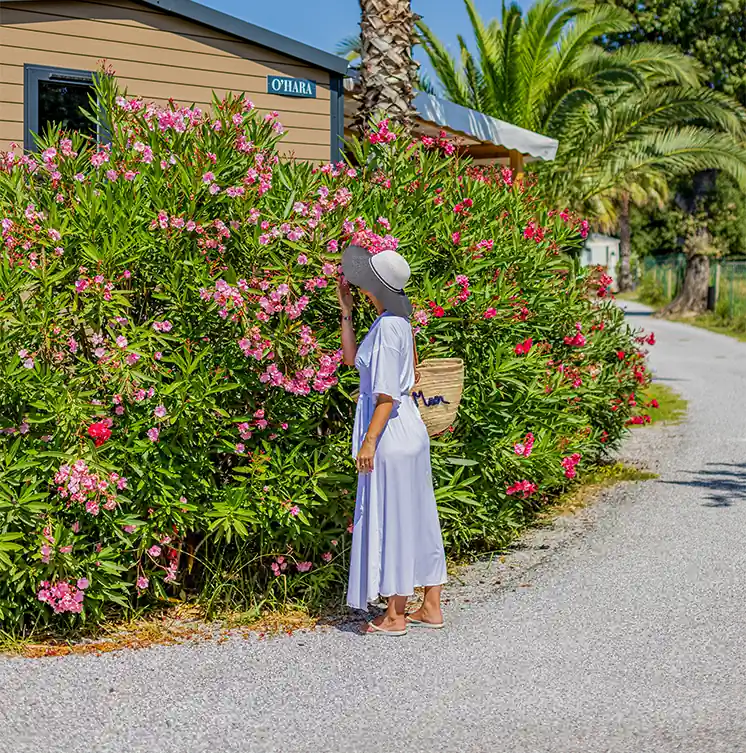 our rental accommodations in argeles sur mer